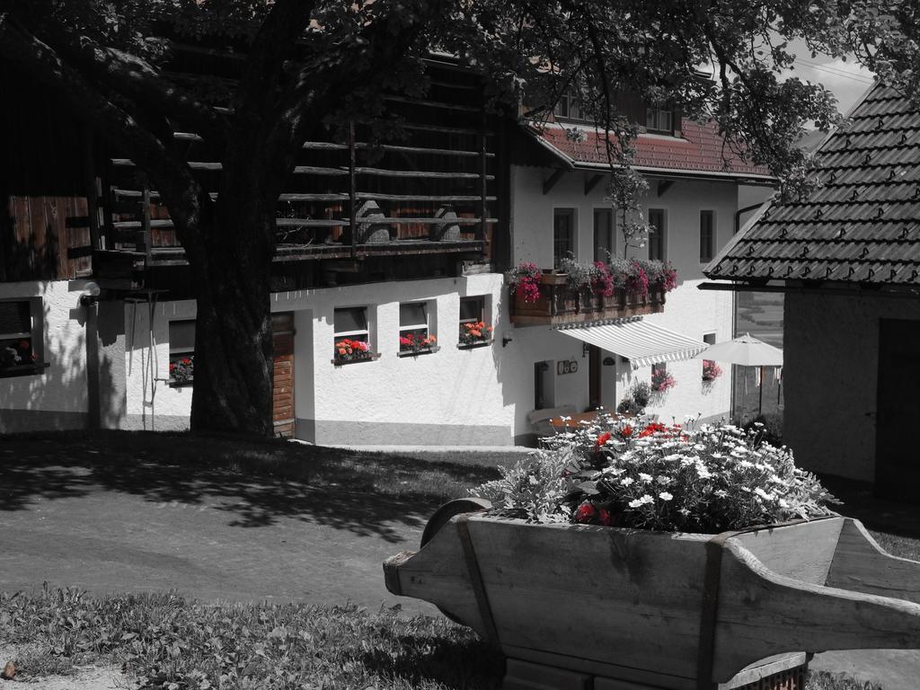 Apartamento Entschleunigungshof Huberbauer Kotschach-Mauthen Exterior foto